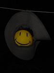 Click to see big picture (360x480 pixels; 9 KB))